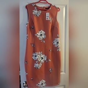 2/$25 Suzy sheir bodycon dress coral mix n match